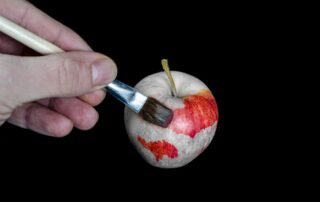 Ein grauer Apfel wird mit einem Pinsel rot angemalt.