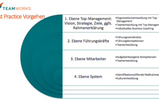 Die 4 Ebenen, auf denen Entwicklung stattfinden kann: Top-Management, Führungskräfte, Mitarbeiter und System.