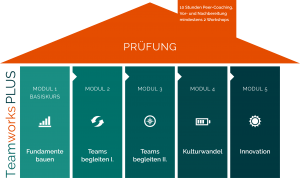Fallstudien Teamentwicklung