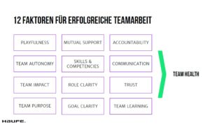 12 Faktoren Teamperformance