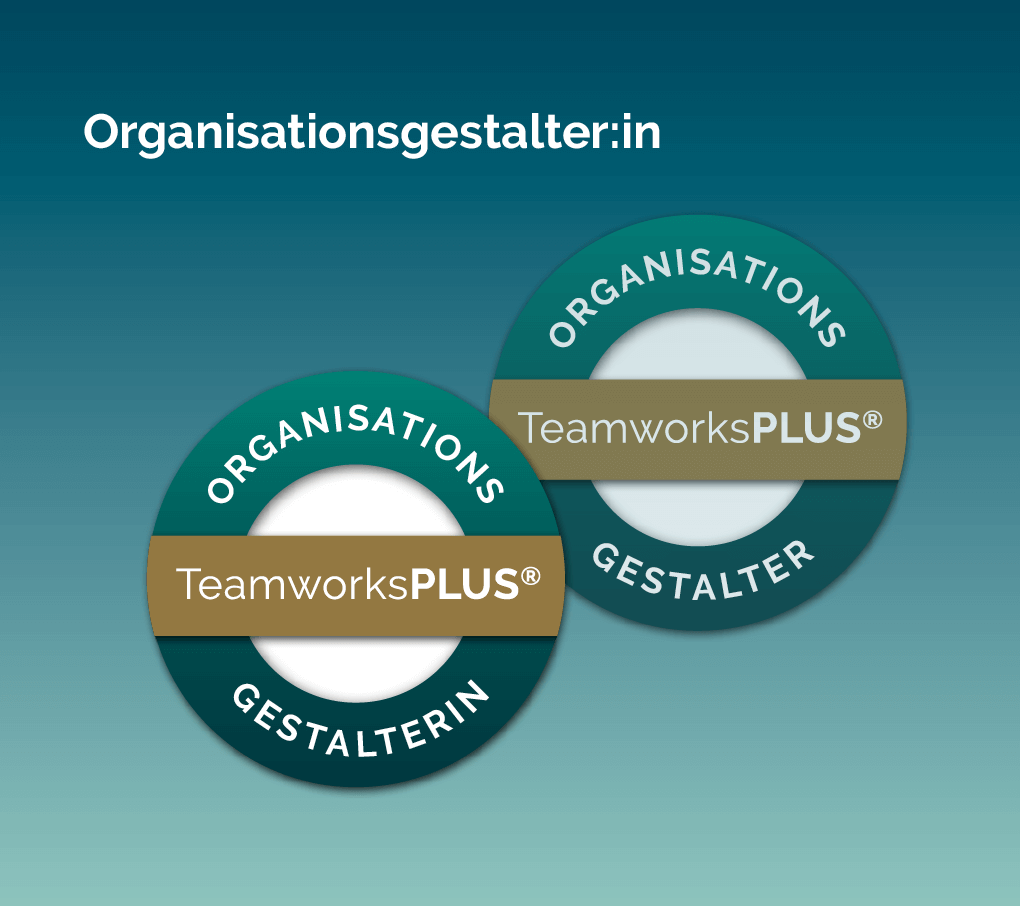 2024-Teaser-Organisationsgestalter_in-big@2x Siegel der Kompaktausbildung Organisationsgestalter*in.